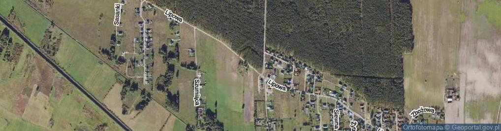 Zdjęcie satelitarne Lipowa ul.